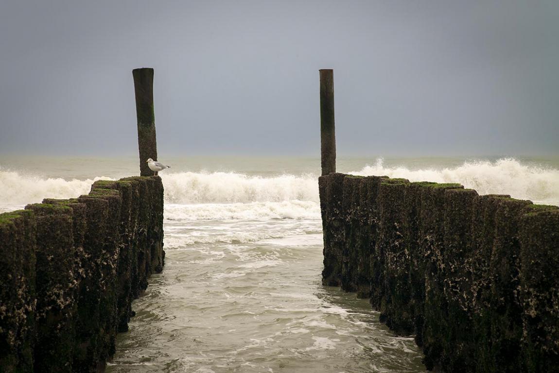 21 nov. 2021 Zeeland