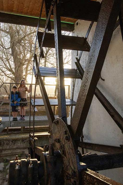 24 feb. 2021 Watermolen Meerhout